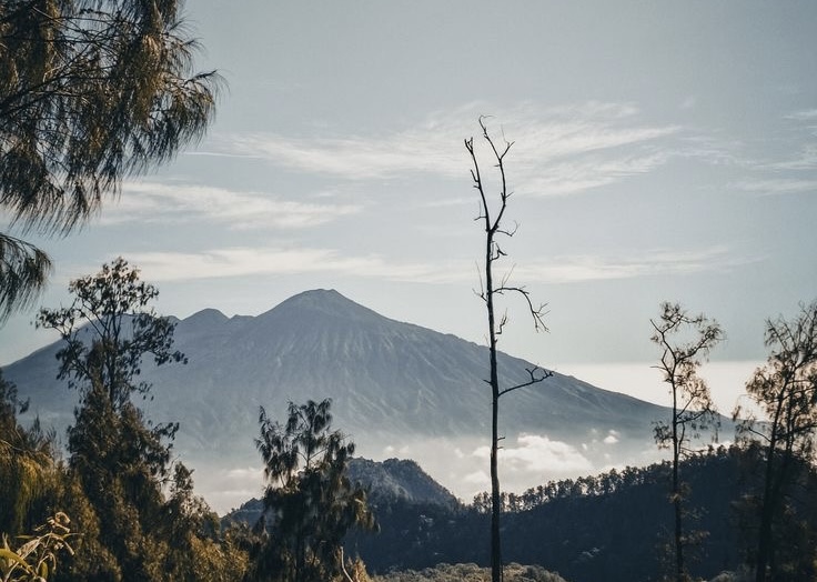 Pendakian Gunung Arjuno-Welirang Dibuka Lagi setelah 6 Bulan Ditutup