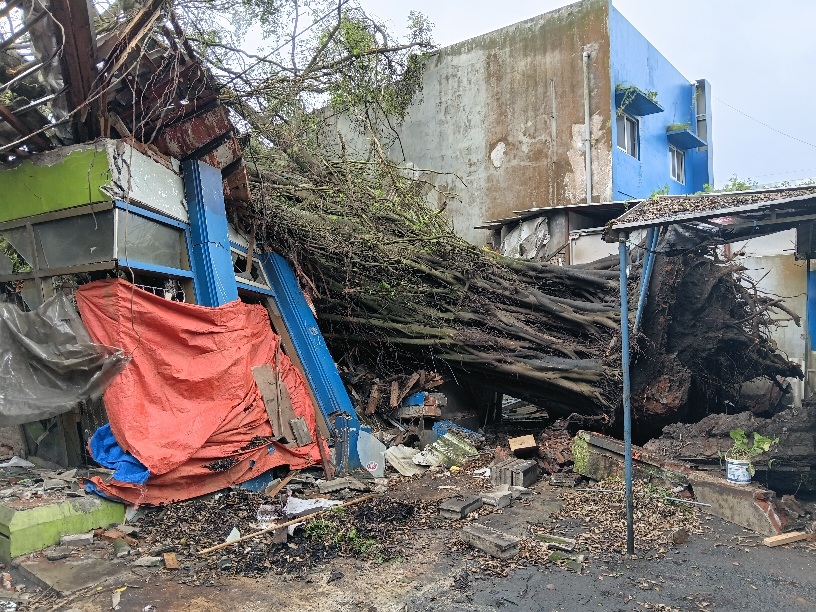 Cuaca Ekstrem di Kota Batu: Pohon Beringin Tumbang Timpa Toko Smart Print hingga Luluh Lantak