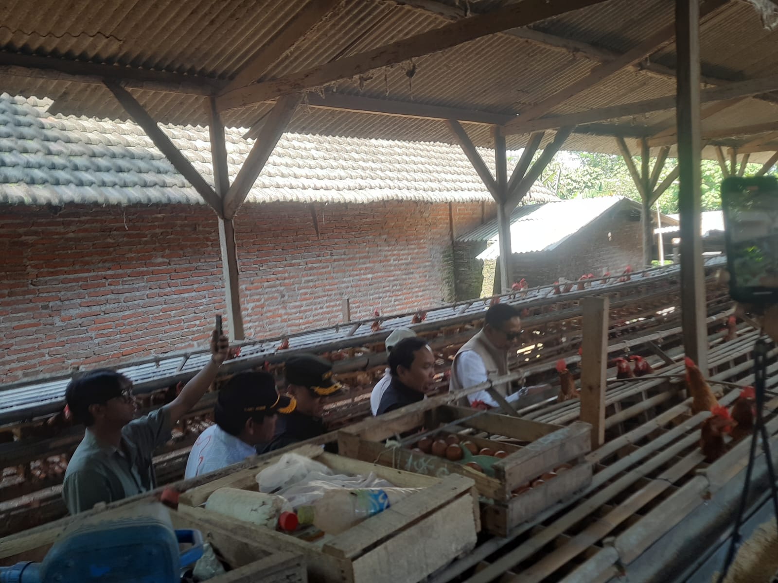 Wali Kota Malang Tinjau Peternakan Ayam di Wonokoyo, Pantau Stabilitas Harga Telur