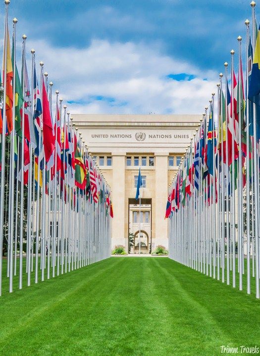 Kesepakatan Global $200 Miliar untuk Konservasi di Forum United Nations: Indonesia Dapat Apa?