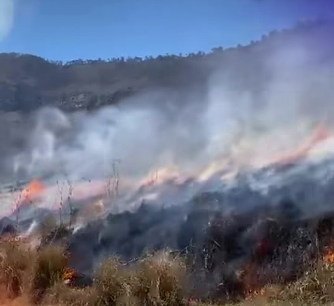 Masuk Hari Kelima Bromo Terbakar 176 Hektare, Api Diduga Berawal dari Perapian di Jalur Tradisional