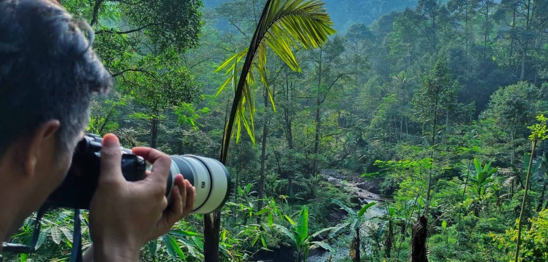 Kenapa Macan Tutul Bisa Bertahan di Hutan Mendolo? Ini Bukti Kekayaan Satwanya