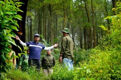Momen Hari Hutan, Kenali 9 Kampus Yang Punya Hutan, Termasuk 3 Kampus di Malang 