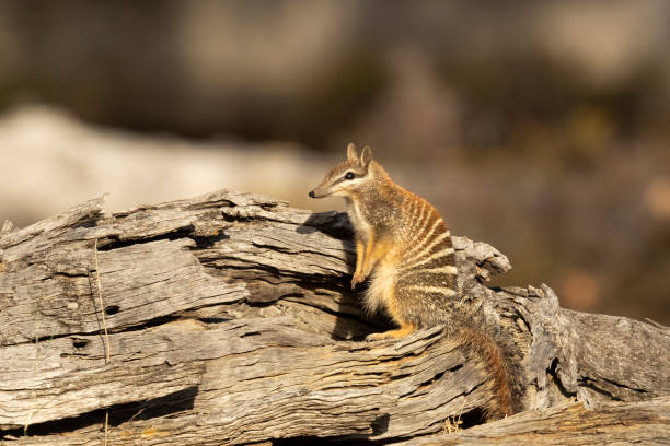 4 November Diperingati Hari Apa Saja? Berikut Daftar Lengkapnya