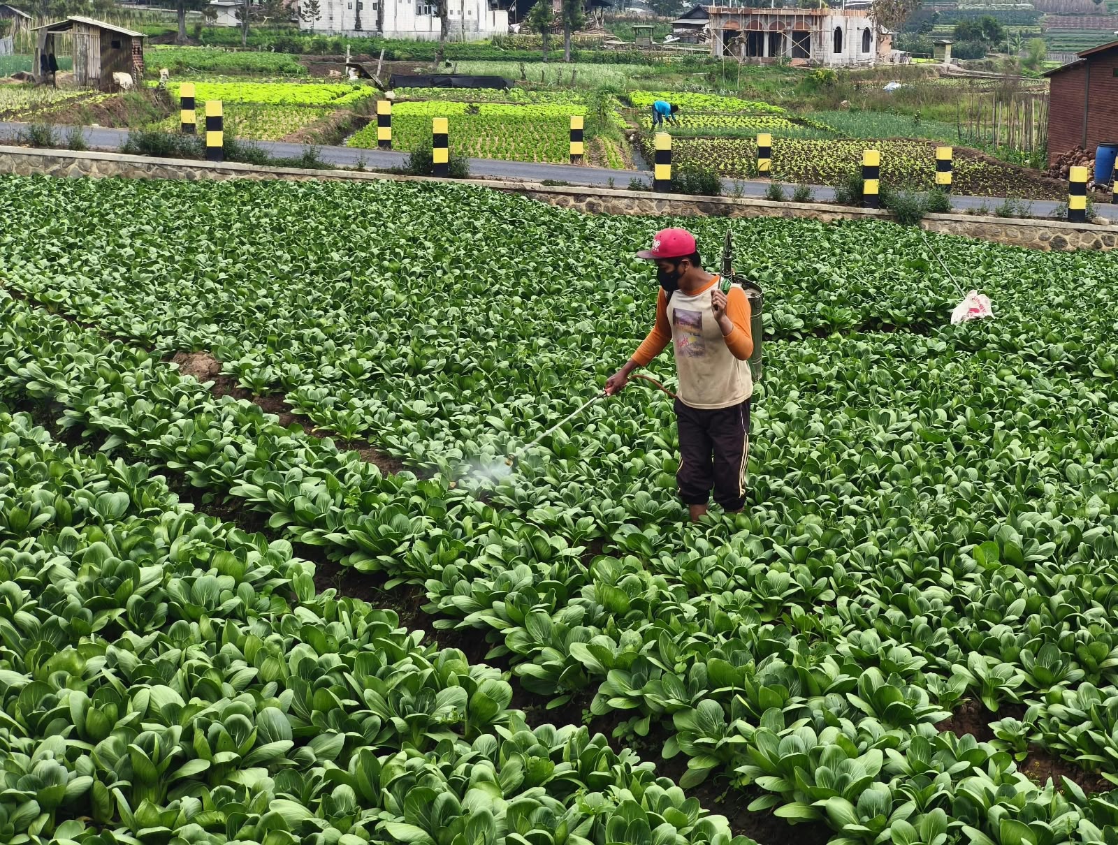 Smart Integrated Farming Kota Batu Disiapkan, Lahan 2,7 Hektare di Sidomulyo