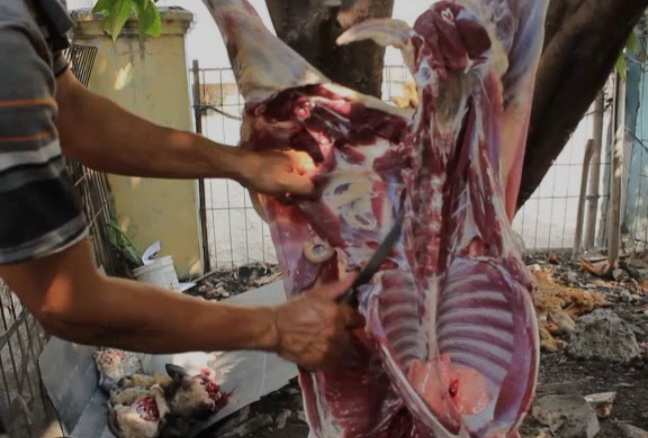 Tips Memisahkan Daging Kambing dari Tulang