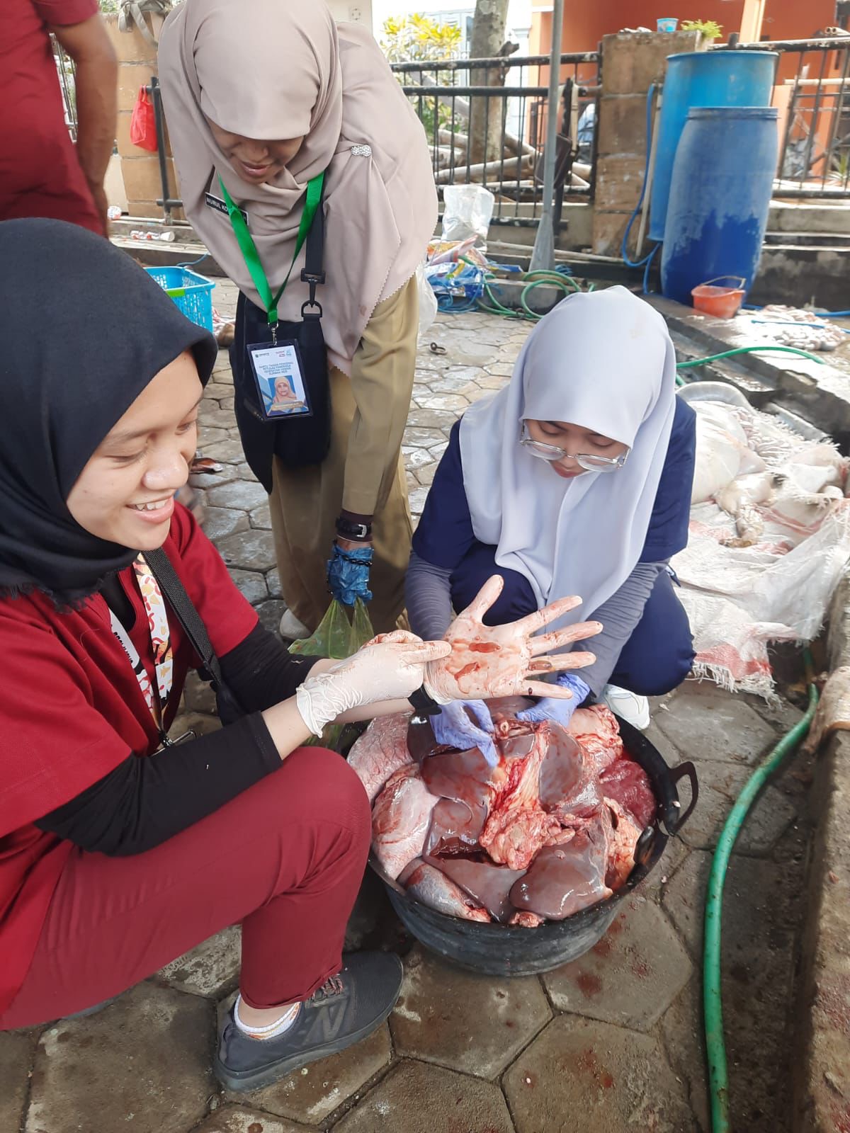 Iduladha 1446 H, Warga Sukun Pondok Indah Sembelih 31 Hewan Kurban