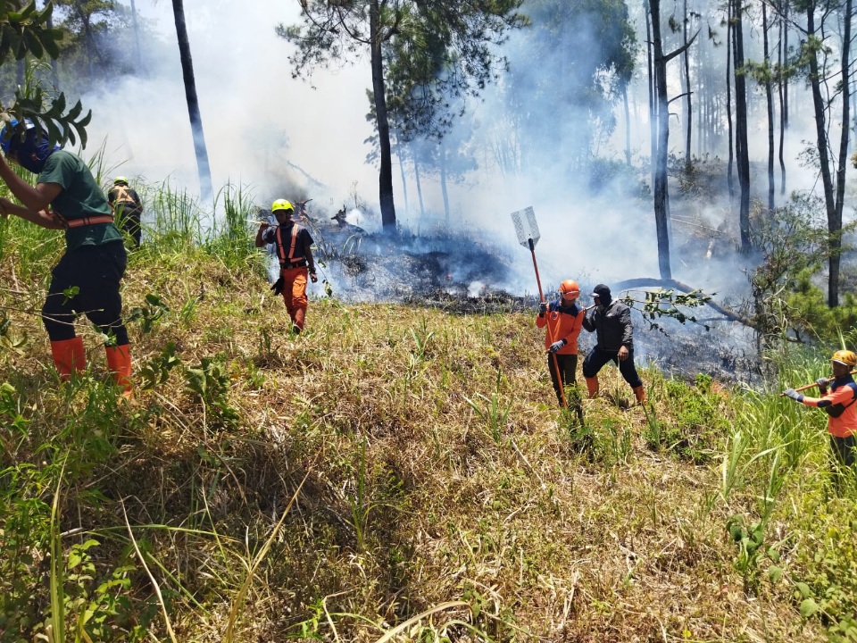 Kobaran Api Panderman Batu Padam, Sekat Bakar dan Pemadaman Manual Jadi Andalan