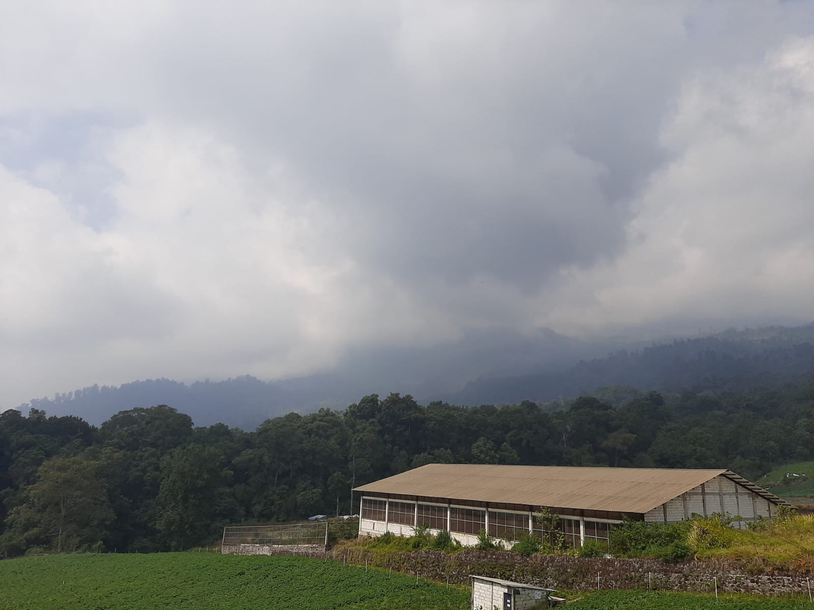 Cuaca Malang Raya Hari Ini Dominan Cerah Berawan, Bromo Dingin hingga 8°C, Gelombang Selatan 2,5 Meter