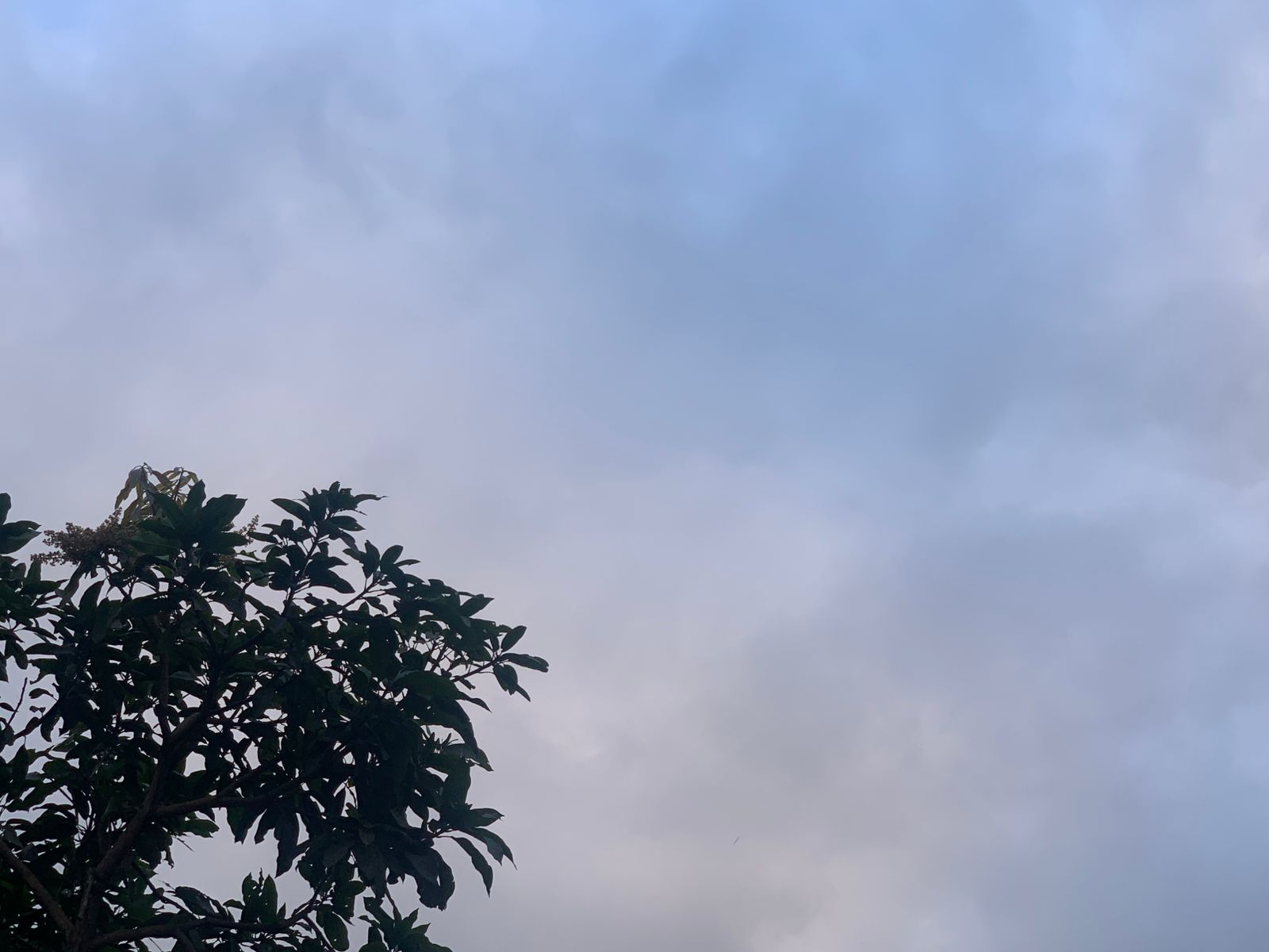 Cuaca Kota Malang Hari Ini 4 September: Sukun Udara Kabur, 4 Kecamatan Cerah