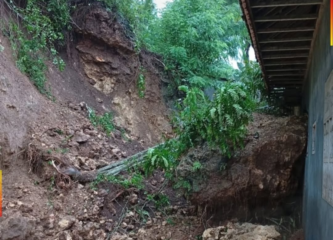 Lagi, Terjadi Bencana Tanah Longsor di Donomulyo, Malang, Pohon Tumbang di Poncokusumo