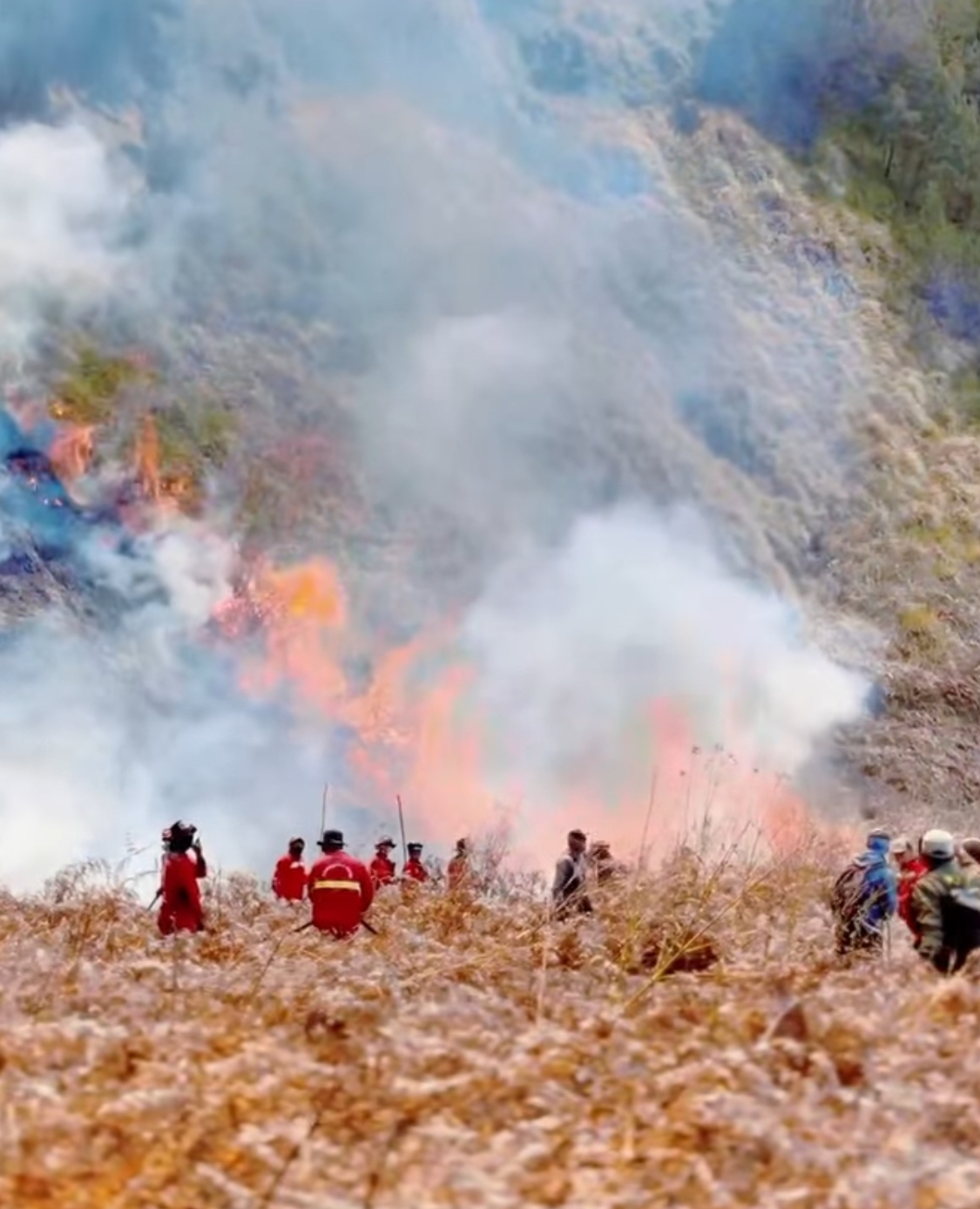 Kebakaran Bromo Meluas, 921 Hektare Lahan Terdampak dan 540 Personel Dikerahkan