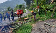 Cuaca Malang Raya 29 Maret: 21 Kecamaan Berawan, 14 Kecamatan Hujan Ringan, Jatim Masih Waspada Cuaca Ekstrem 
