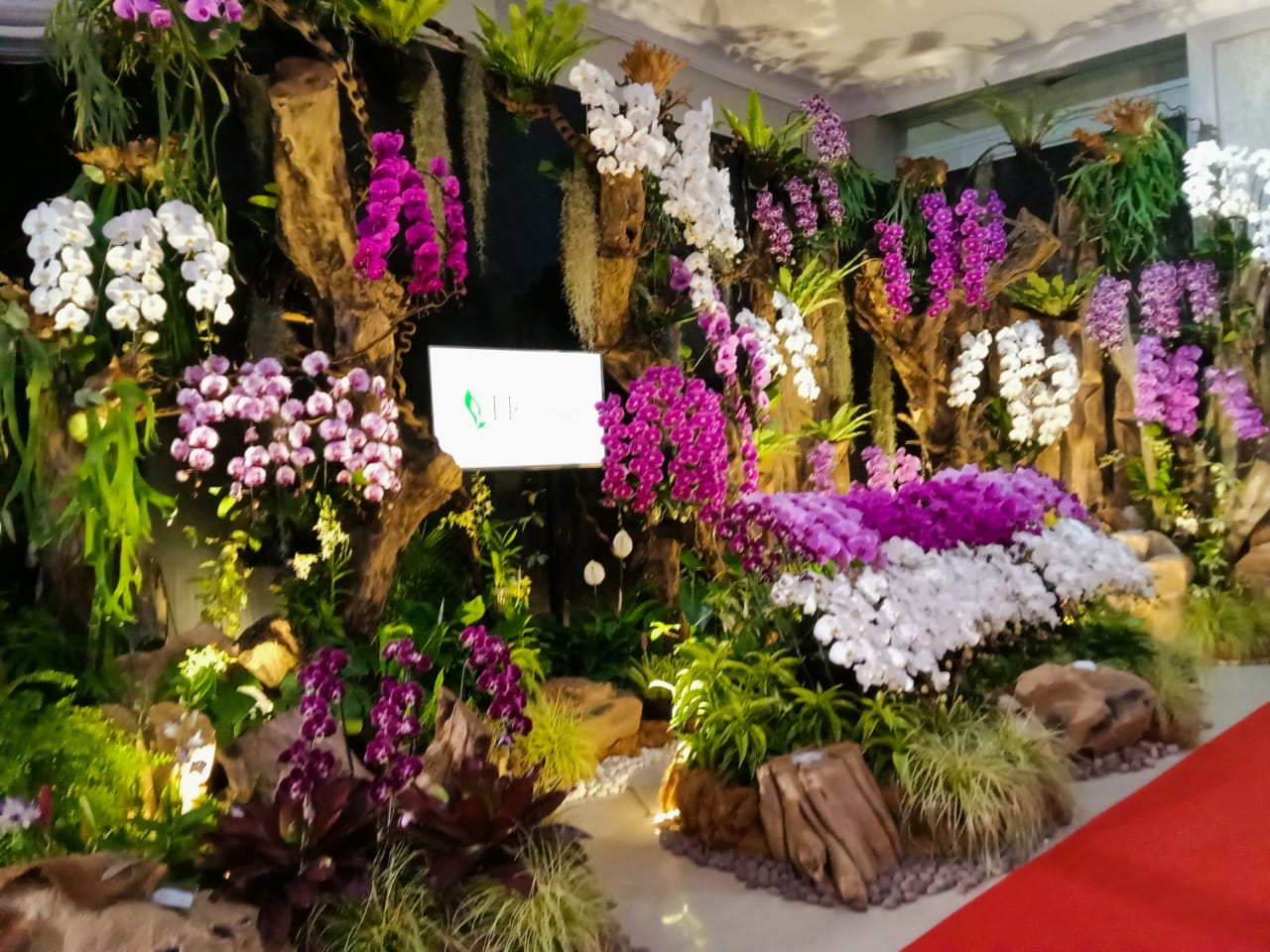 Peserta BOSW 2025 Makin Banyak, Ada dari Thailand, Wali Kota Batu Optimis Perputaran Uang Capai Rp10 Milar