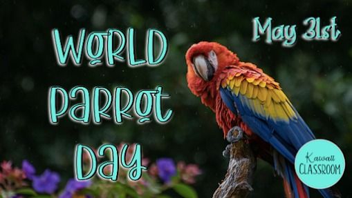 31 Mei Juga Hari Burung Kakaktua Sedunia: Sudah Tahu Fakta Menarik Mengenai Mereka?