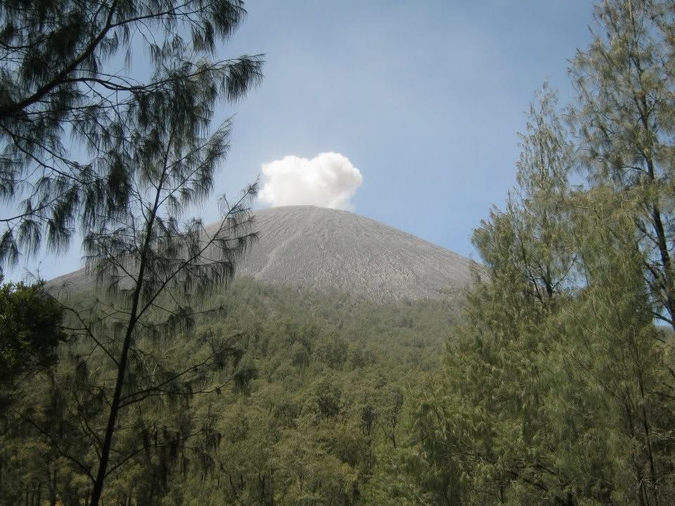 Gunung Semeru Alami 23 Kali Gempa Letusan dalam Enam Jam