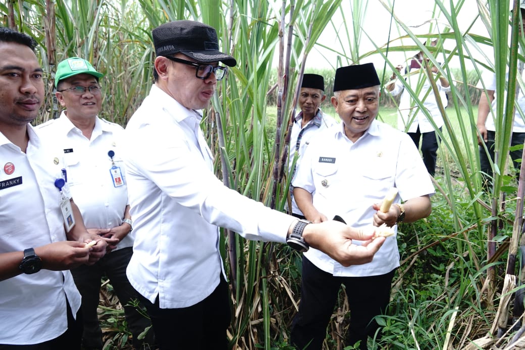 Wamendagri Kunjungi Tajinan, Kabupaten Makang, Pantau Langsung Pembentukan Koperasi Desa di Sana