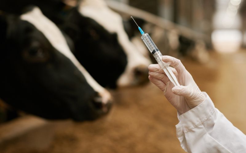 6 Juli, Hari Zoonosis Sedunia: Dari Vaksin Rabies hingga Ancaman Patogen Modern