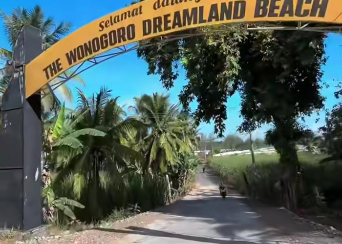 Hidden Gem Malang Selatan! Pantai Wonogoro Punya Muara Sungai Aman untuk Liburan Keluarga