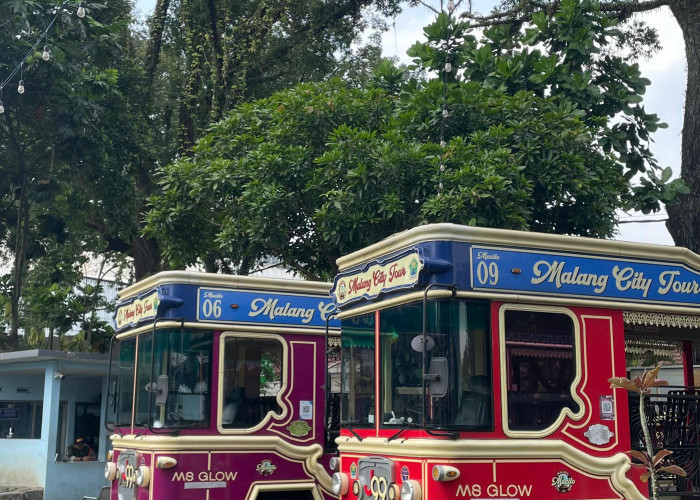Dari Transportasi Wisata hingga Ikon Kota, Begini Perjalanan Macito