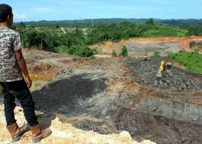 Prabowo Bongkar 1.000 Tambang Ilegal dan 5 Juta Ha Sawit Ilegal: Pencurian Kekayaan Negara Harus Dihentikan