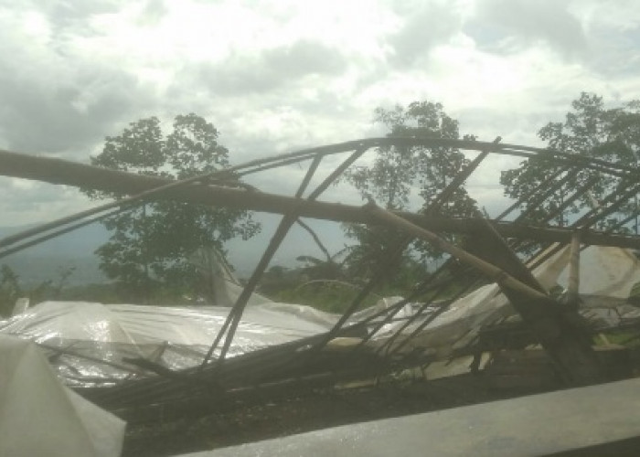 Puting Beliung di Gangsiran Puthuk Rusak Rumah, Green House, dan Tiang Listrik