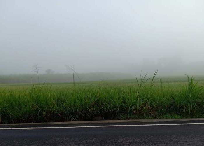 Prakiraan Cuaca Kepanjen Hari Ini: Prediksi Pagi Cerah Berawan, Siang Cerah, Malam Udara Kabur