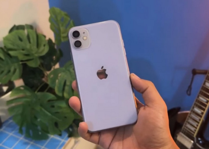 Rekomendasi iPhone Murah 2026: iPhone 11, 11 Pro Max, atau iPhone 13 Paling Worth It?