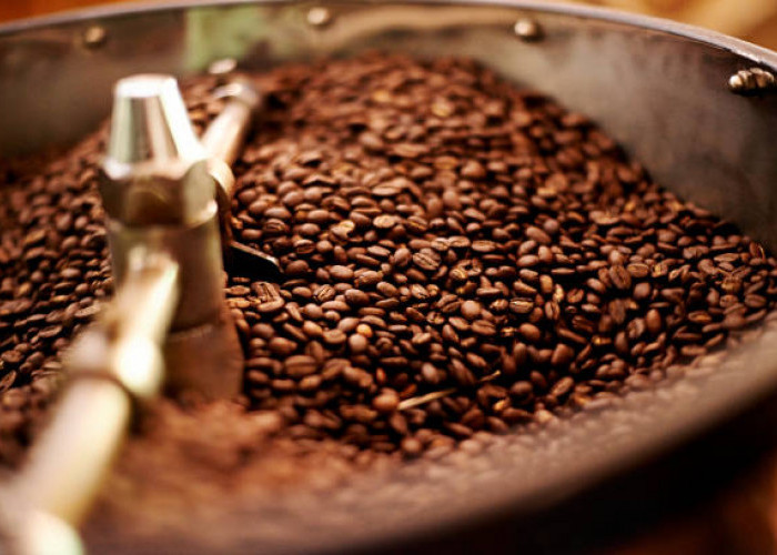 9 Negara dengan Konsumsi Kopi Terbesar di Dunia 2025, dari Eropa Hingga Asia