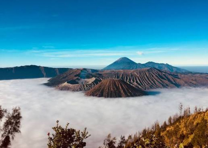 Udara Sejuk Jadi Daya Tarik, Ini Wisata Dingin di Kabupaten Malang yang Cocok Dikunjungi Saat Liburan