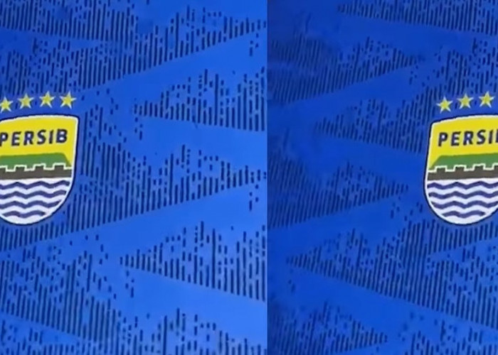 Persib Berpeluang Kantongi Belasan Miliar Jelang Musim Baru, Ini Sumber Pemasukannya