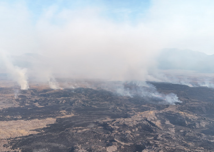 Kebakaran Bromo Meluas 742,70 Hektare, 24 Ribu Liter Air Dikerahkan lewat Water Bombing