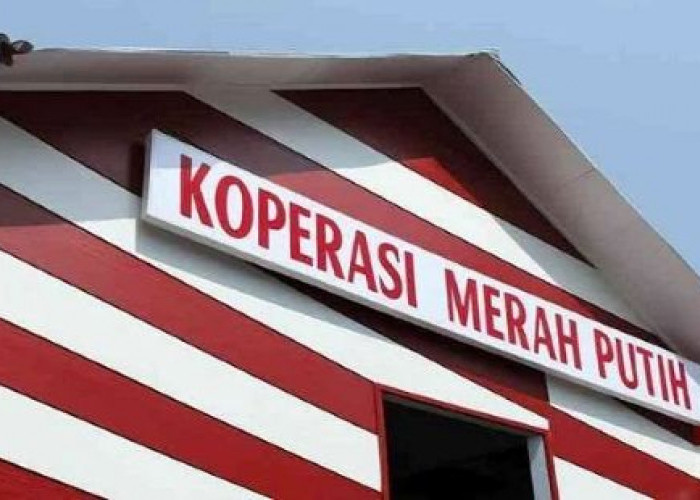 80.000 Kopdes Merah Putih Ditargetkan Beroperasi Maret 2026