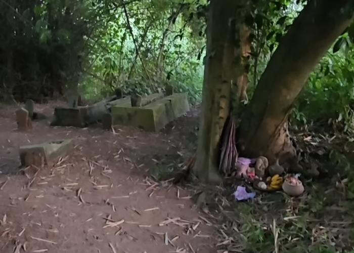 Pesugihan Tuyul Gunung Kawi, Lokasi Ritual Disebut Tersembunyi di Tengah Ladang Tebu (Bagian-1)