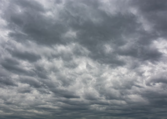 Cuaca Malang Raya 29 Desember: Potensi Hujan-Angin Kencang, Antisipasi Pohon Tumbang hingga Tanah Longsor