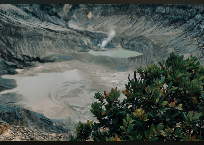 Wisata Bandung 3 Hari, Jelajahi Tangkuban Perahu, Dusun Bambu hingga Braga dalam Satu Trip