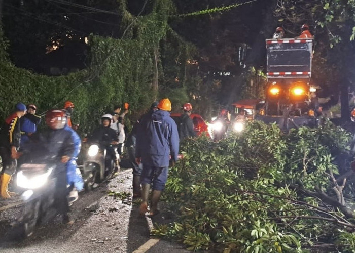 Cuaca Malang Raya 7 Maret: Kota-Kabupaten Berawan, Batu Hujan Ringan, BMKG Kembali Peringatkan Cuaca Ekstrem