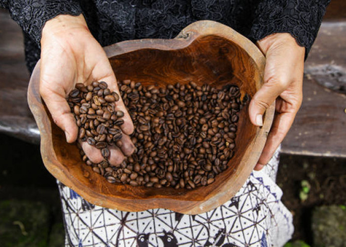 Kopi Kintamani: Cita Rasa Bali yang Lahir dari Tanah Vulkanik dan Tradisi Subak