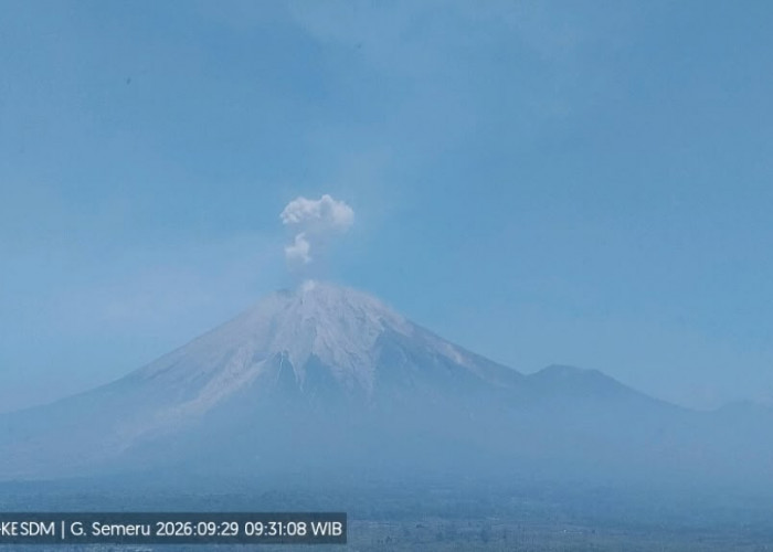 Gunung Semeru 6 Kali Erupsi, Dentuman Terdengar Senin Malam, BPBD Pastikan Tak Ada Dampak