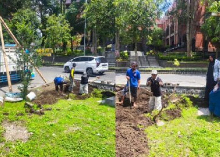 UB Tanam Pohon Langka, Perkuat Komitmen Kampus Hijau dan Mitigasi Iklim