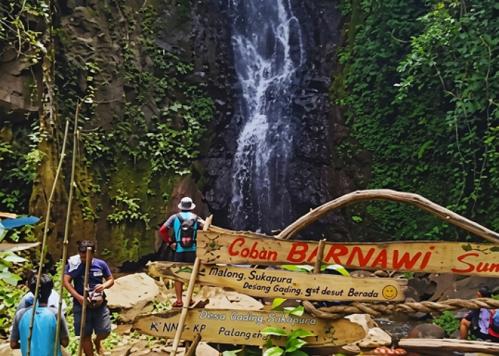 7 Coban dan Hutan Pinus di Jabung Malang, Surga Wisata Alam yang Masih Tersembunyi