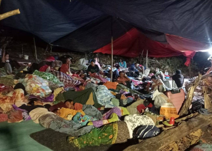 Pengungsi Gempa M7,7 NTT Tidur Beralas Seadanya, Bantuan Terus Berdatangan
