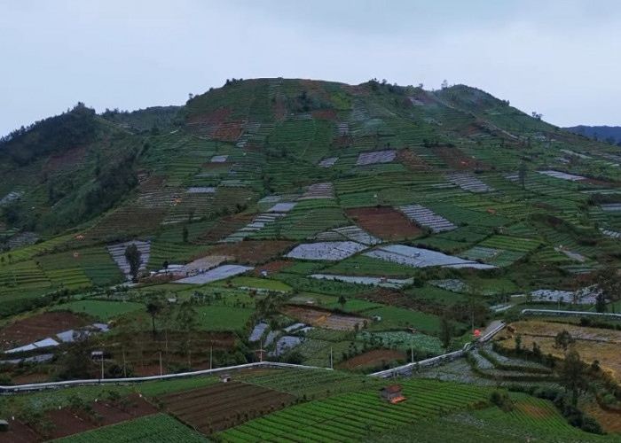 Dieng Berkabut dan Diguyur Hujan, Perjalanan Temanggung-Dieng Justru Sajikan Panorama Memukau