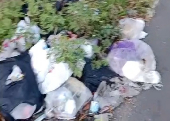 Gawat! Jalanan Kota Batu Berubah Menjadi 'Lahan Empuk' Pembuangan Sampah Liar, Sudah Mati Rasa?
