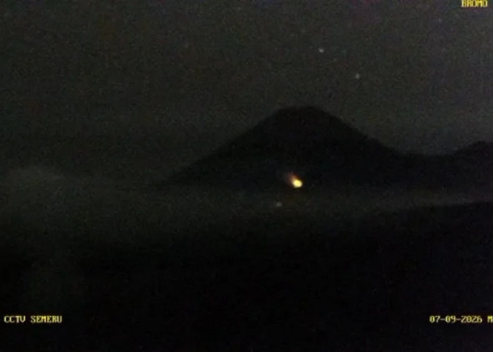 Titik Api Baru Muncul di Lereng Semeru, Padahal Karhutla Baru Dinyatakan Padam