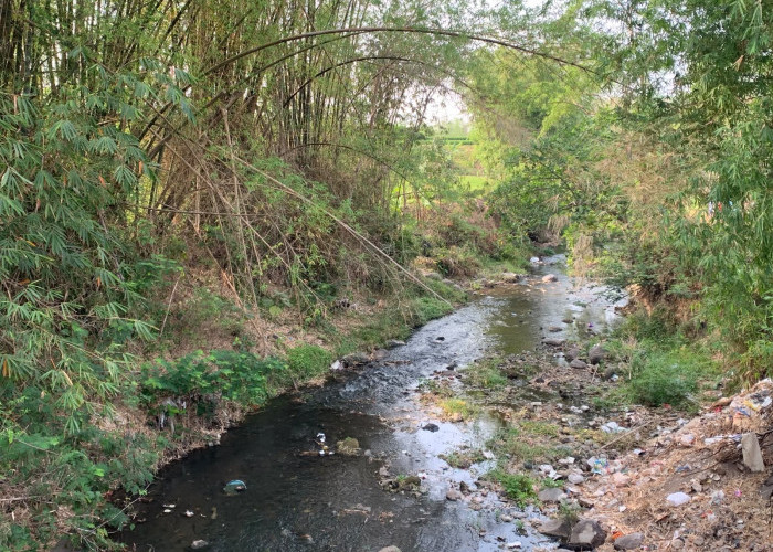 Ketua DPRD Kota Malang Soroti Sampah Pampers di Sungai Metro