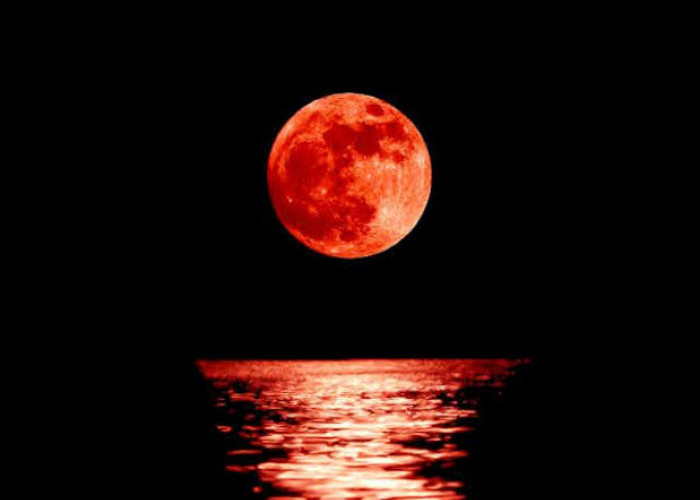 Fenomena Blood Moon, Saat Bulan Tampak Merah Darah. Simak Info Cara Menyaksikan dan Mengabadikannya 