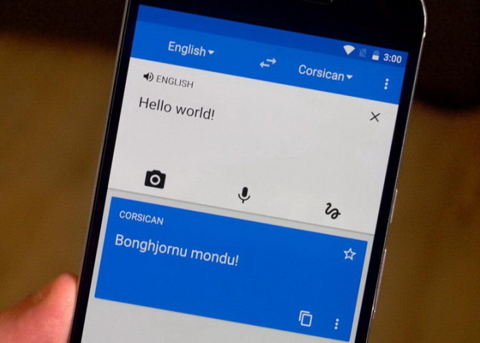Indonesia Jawara Pengguna Translator Online,  Cermin Semangat Belajar Bahasa Asing