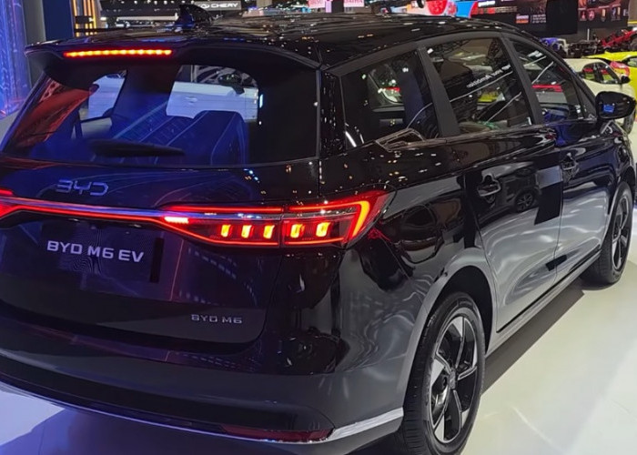 BYD M6 EV CKD Rp395 Juta, Apa Bedanya dengan Versi CBU?