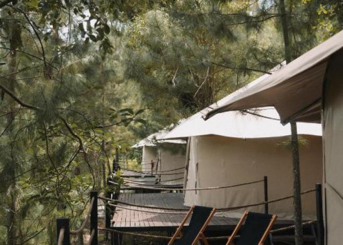 Rindang Glamping Kota Batu, Ramah Lingkungan, Sahabat UMKM